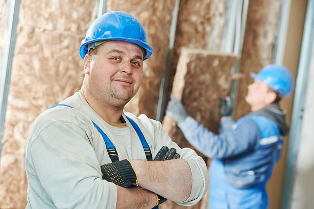 Best Insulation Installation Services in Willow, AK